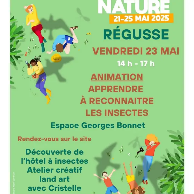 Comment reconnaît-on un insecte ?_Régusse