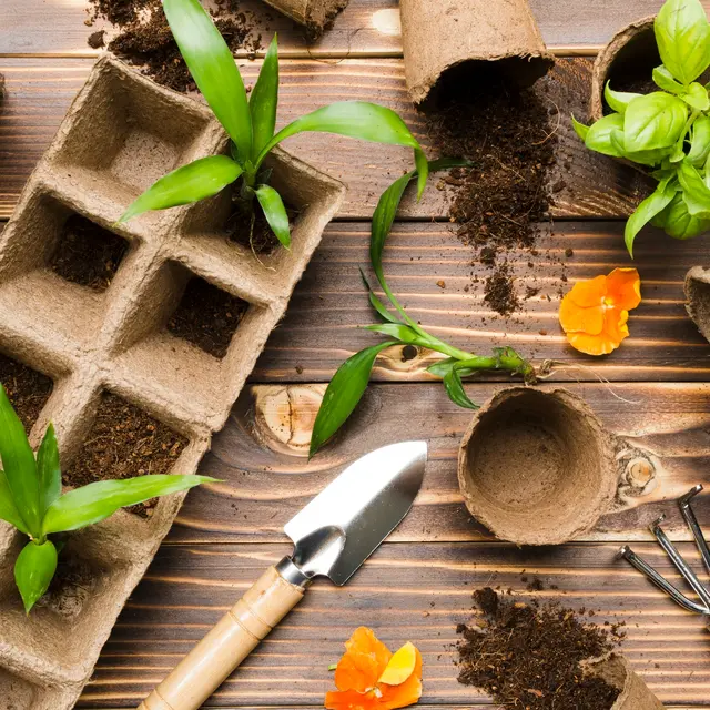Les rendez-vous des p’tits jardiniers_Labastide-Saint-Pierre