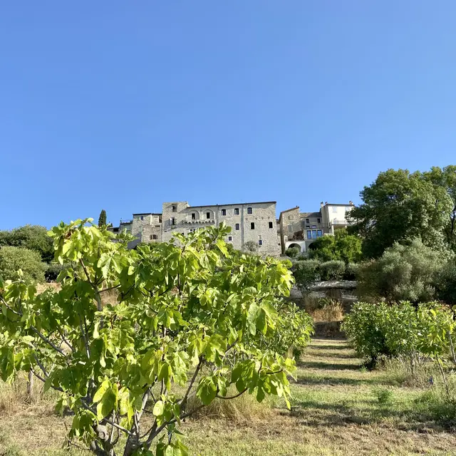 Maison de la figue_Vézénobres