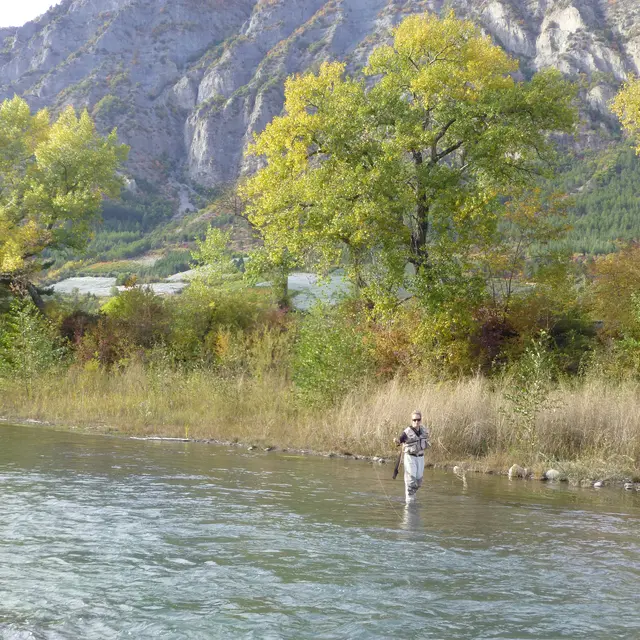 Pêche à la mouche dans la Durance