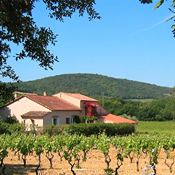 Vue panoramique des gîtes.