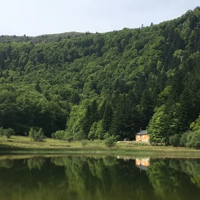 L'étang de Moulzoune