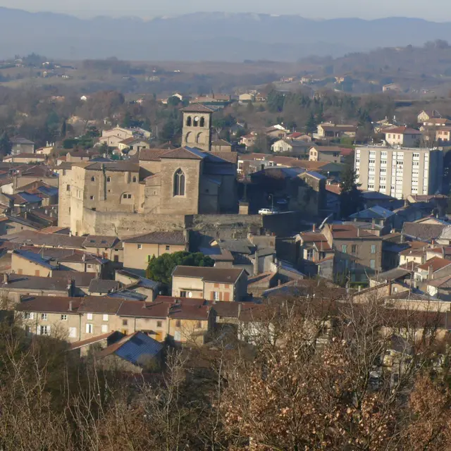 Vue sur Saint Donat sur l'Herbasse_ Michel Arnaud