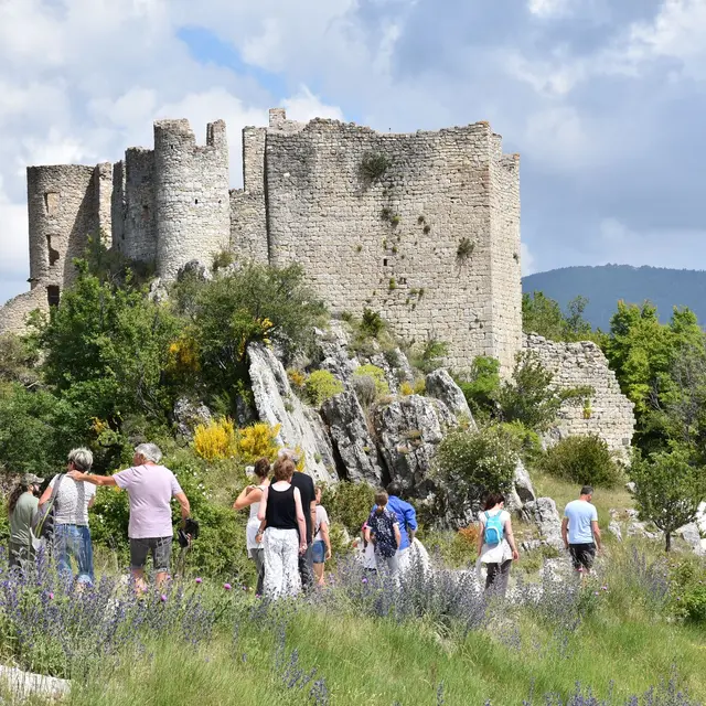 Château de Pontevès