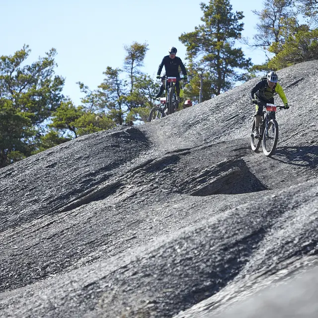 N°16 La Ferme Belon