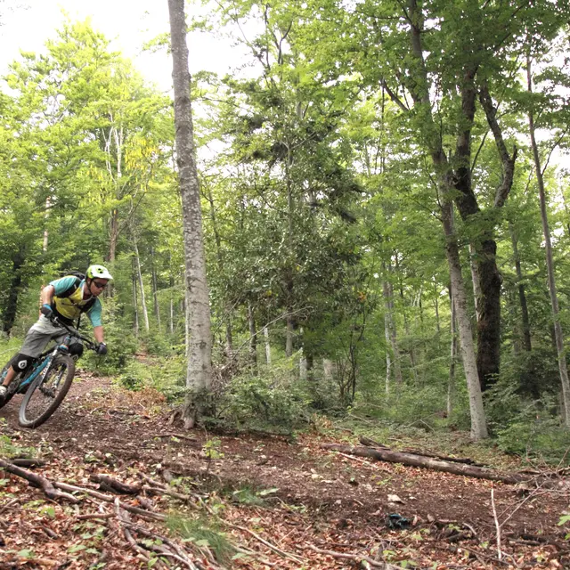 Parcours VTT Saint-Etienne-les-Orgues