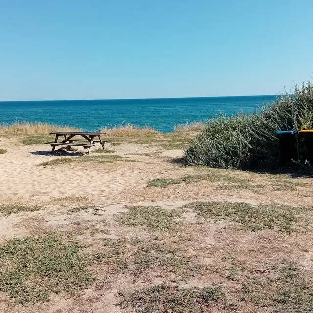 Aire de pique-nique de la Pointe de Grignon