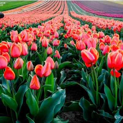 Stage Photo en mini-groupe en  Provence
