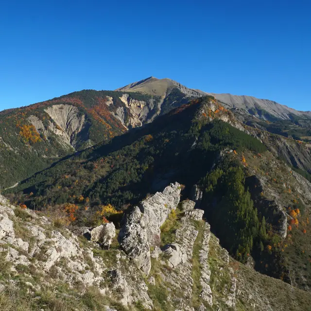 Sentier Armand Payan n°11