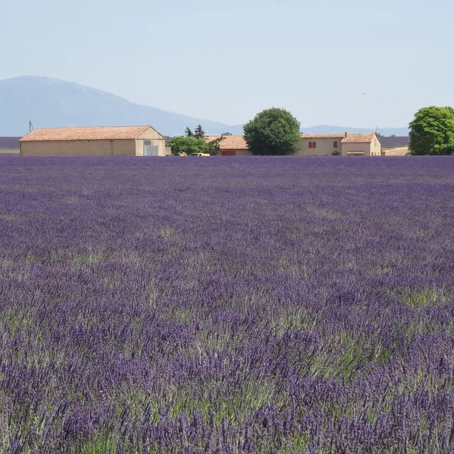 Les conférences environnement à La Londe les Maures_La Londe-les-Maures