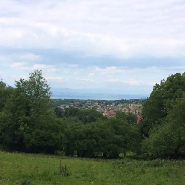 Circuit Boucle du Crêt boulanger