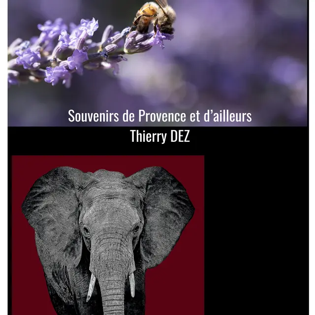 Souvenirs de Provence er d'ailleurs_Le Castellet