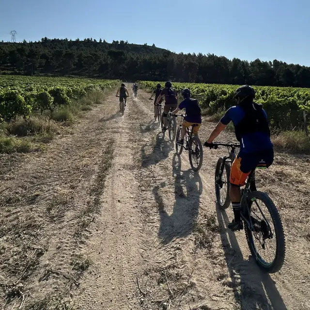 Unusual Ride Guide touristique à vélo à Aureille Vélos sur un chemin