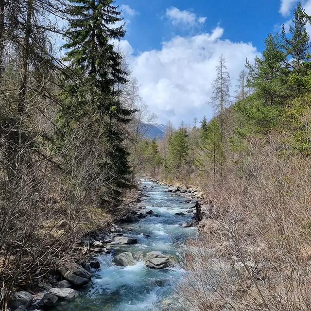 Pêche dans le Verdon