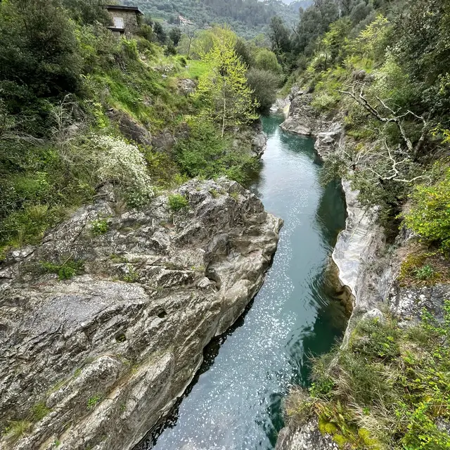 Sur les traces de la loutre : sortie en bord de rivière_Sospel