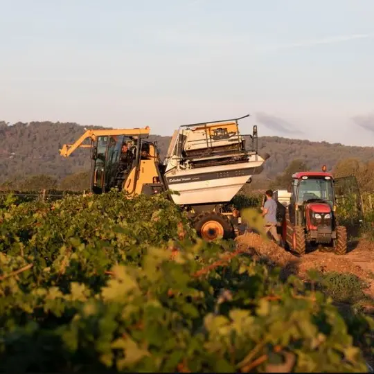 visite de la Passion - vendanges et BASTIDE_Tourrettes