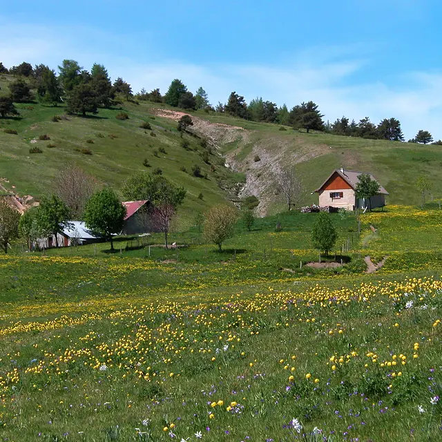 Le tour des montagnes d'Auzet n°42