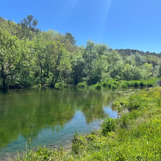 Zones humides et trame turquoise - sortie nature_Valbonne