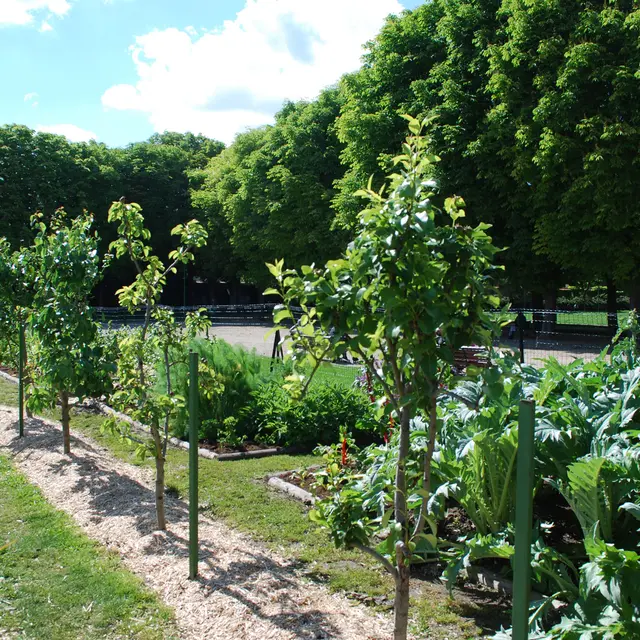 Potager dans le parc du château Chanorier, Croissy-sur-Seine