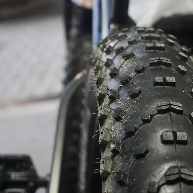 Rando fat bike nocturne_La Salle-les-Alpes