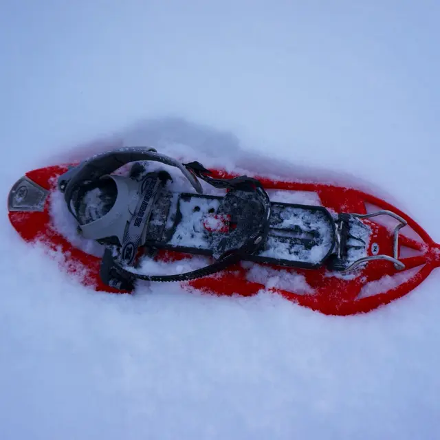 Raquette dans la neige