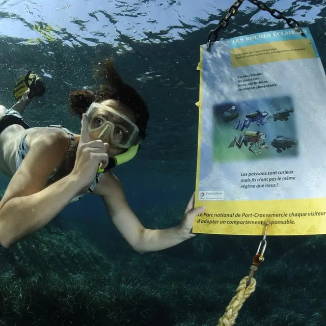 Sentier sous-marin de la Palud - île de Port-cros - Hyères