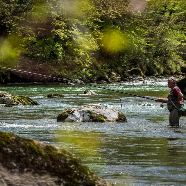 Parcours pêche : Le Chéran au vieux pont d'Alby