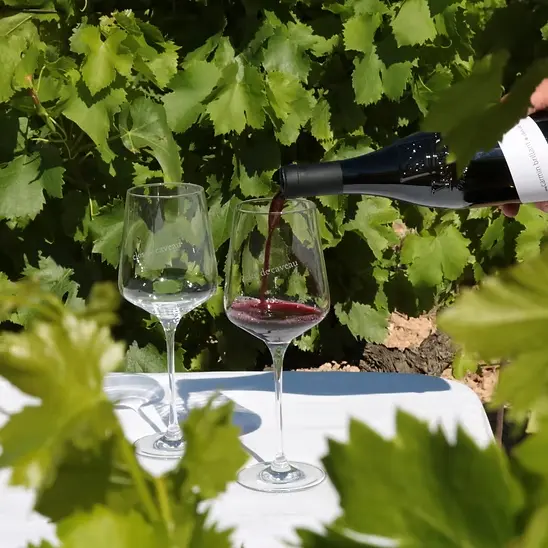 Pique-nique au Clos de Caveau_Vacqueyras