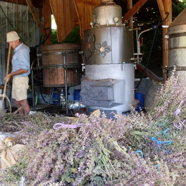 La Rivière aux Arômes