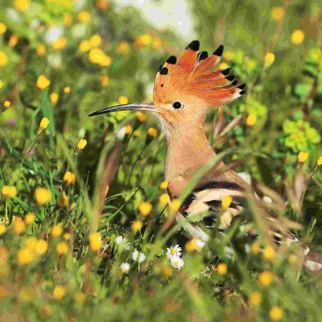 Fête de la Nature_Guillaumes