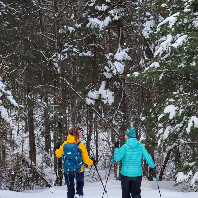 Le bois du Villar par le Lauzin et Clot des Prés_Villar-Saint-Pancrace