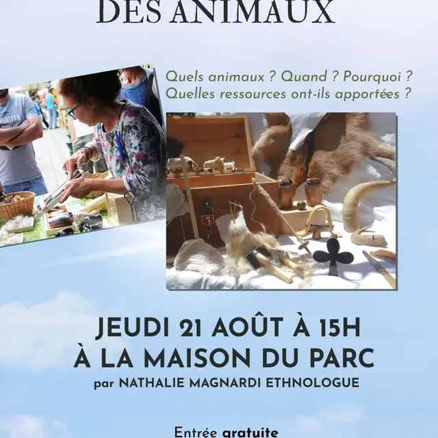 Atelier animé : pastoralisme et domestication_Tende