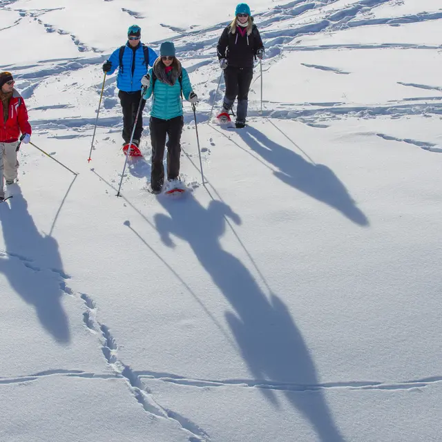 Crête et bois de Méarzes