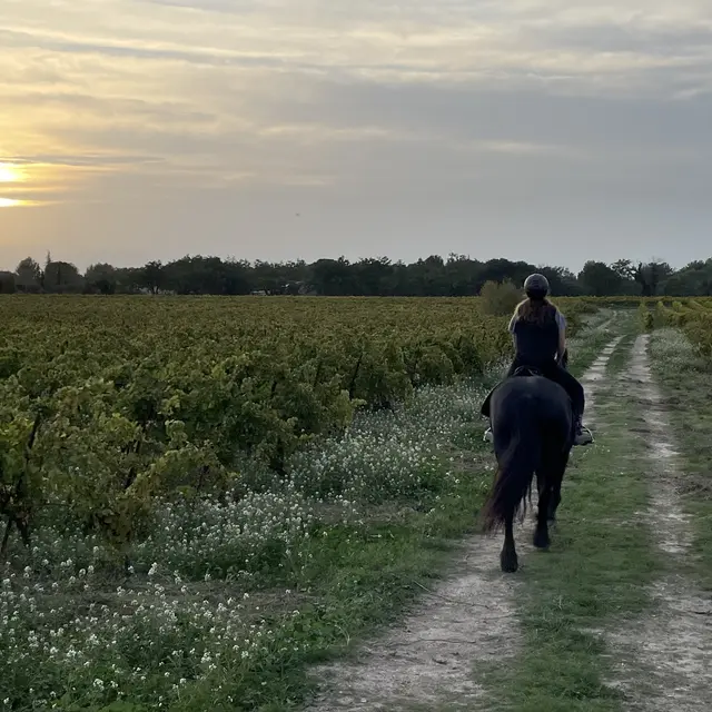 balade en soirée d'été