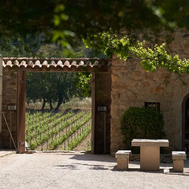 Expérience immersive au coeur du Domaine Ott_Le Castellet