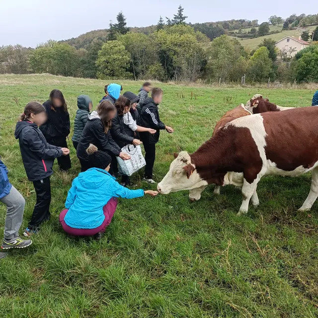 Viens visiter la ferme de Grandris_Saint-Bonnet-le-Courreau