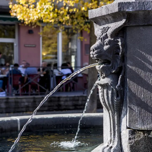 Fontaine aux lions cornus