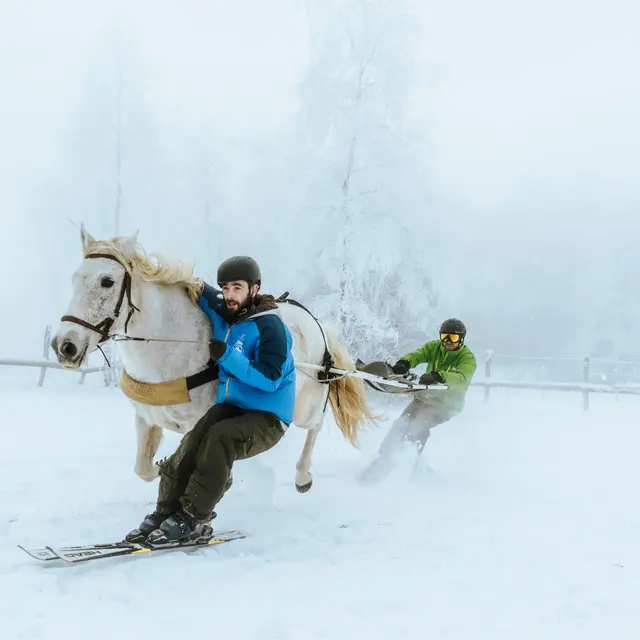 Séance de ski-Joëring_La Féclaz