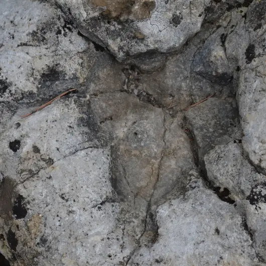 La dalle aux empreintes