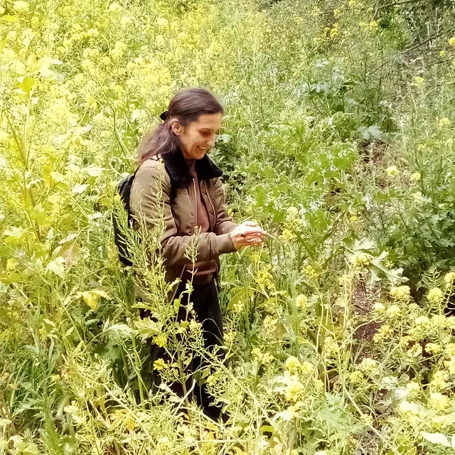 Apéro balade Plantes Sauvages & Comestibles - 1/2 journée_Aubagne