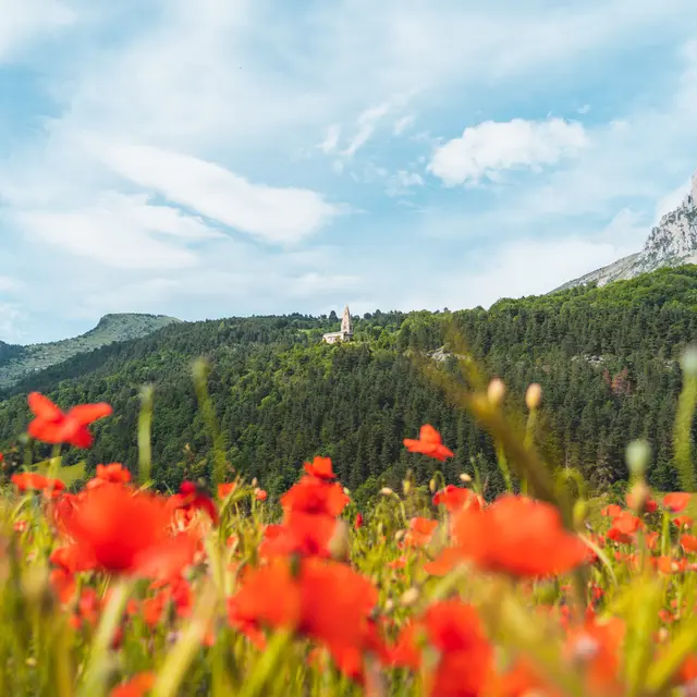 Festival Musique en Dévoluy fête ses 40 ans_Dévoluy