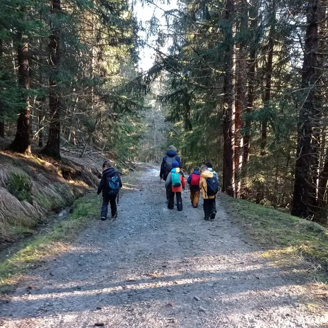 Balade forestière_Thônes