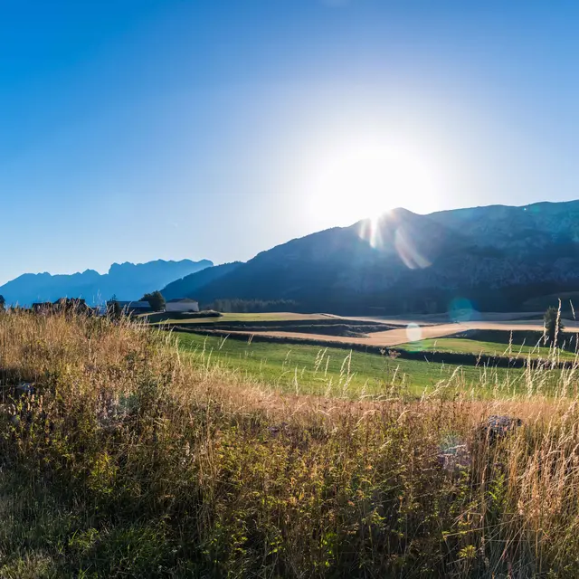 Plateau du Col du Festre, Dévoluy, Hautes-Alpes
