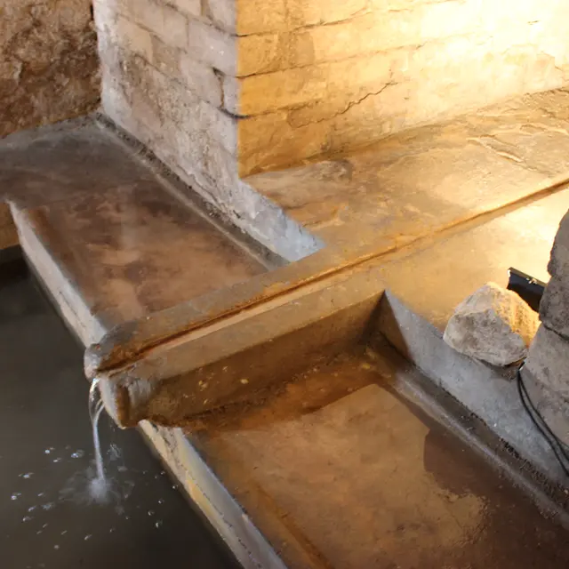 Visite de la Fontaine de la Pissotte, la source cachée_Saint-Germain-en-Laye