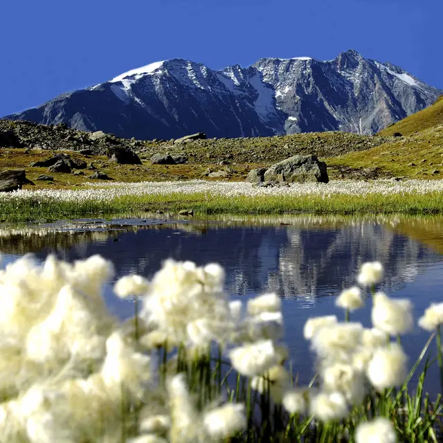 Lac