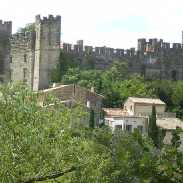 Chateau de Castelnau-Valence-1
