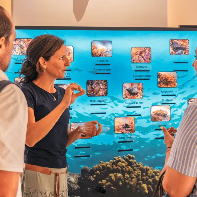 Les ateliers de la mer_Six-Fours-les-Plages