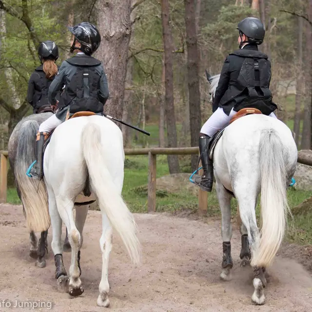 Balades à cheval et à poney_Saint-Marcellin-en-Forez