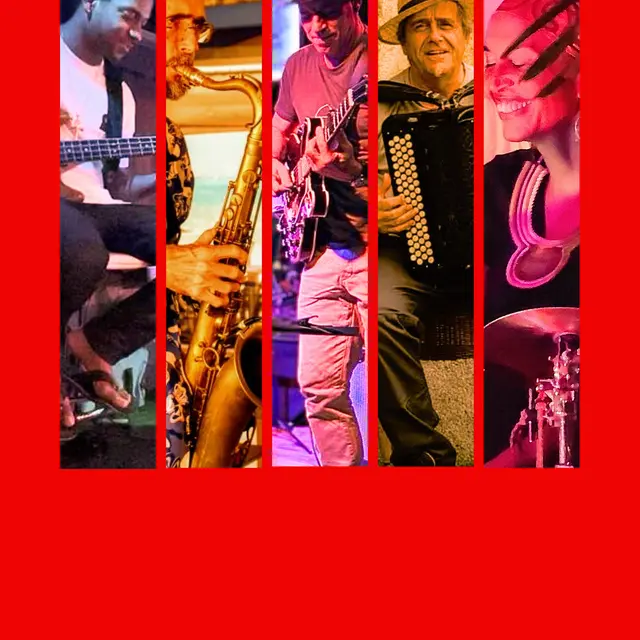 Festival en Sausses - Concert Haïku Misic Band_Sausses