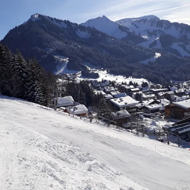 4 pièces - Les Oisillons